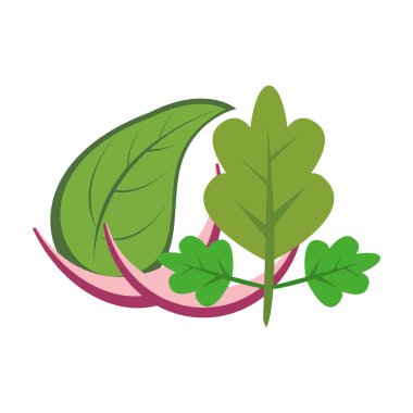 kırmızı soğan tasarımı