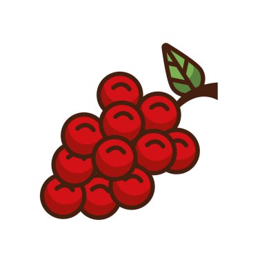 Üzümler, meyveler ve yapraklar.