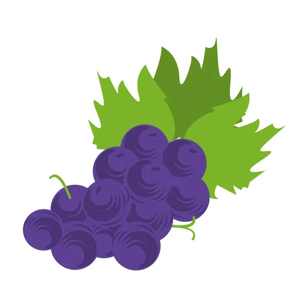 Racimo de uvas icono diseño plano — Vector de stock