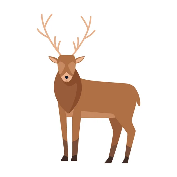 Horned deer icon, colorful flat design — 스톡 벡터