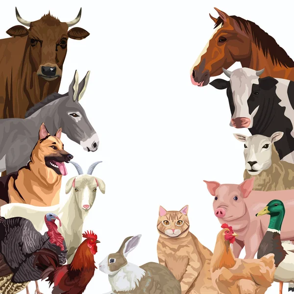 Hayvan çiftliği karakterleri grubu — Stok Vektör