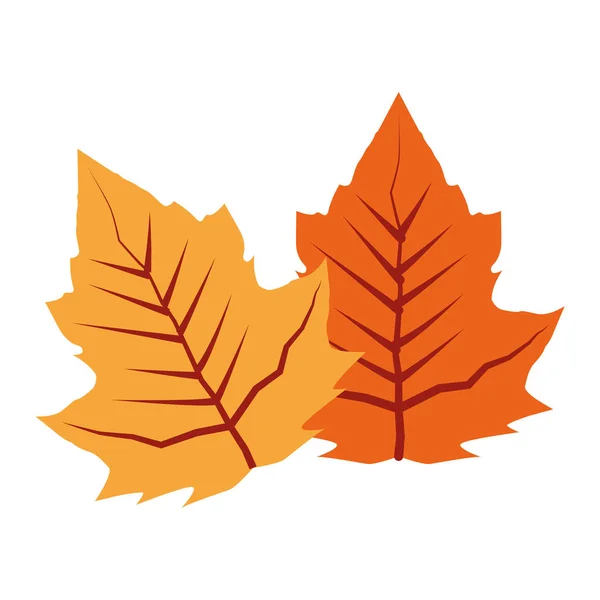 Planta de hoja de otoño icono estacional — Archivo Imágenes Vectoriales