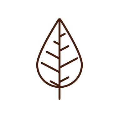 Şükran Günü yaprağı bitkisi sonbahar simgesi