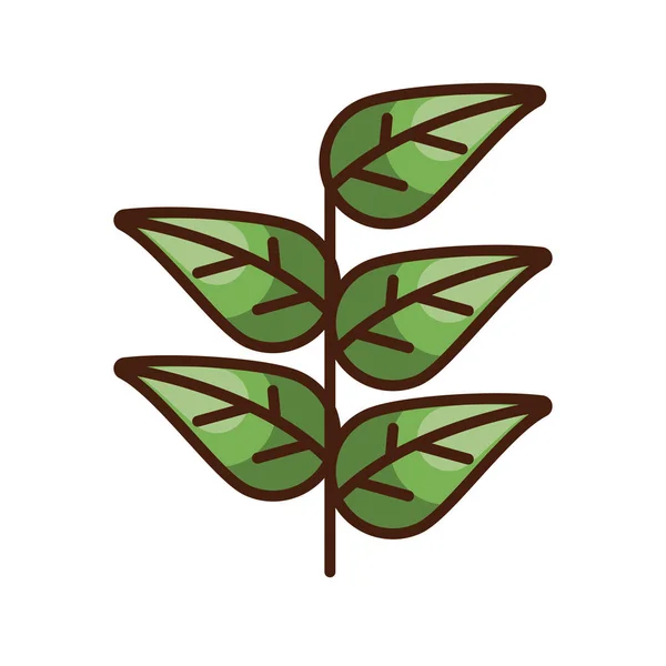 Frunze de mulțumire plante pictograma de toamnă — Vector de stoc