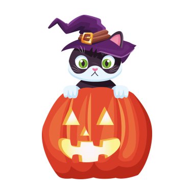 Cadılar bayramı balkabağı ve küçük kedi