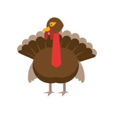 Hindili hayvan şükran günü karakteri