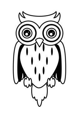 Cadılar bayramı baykuşu hayvan simgesi