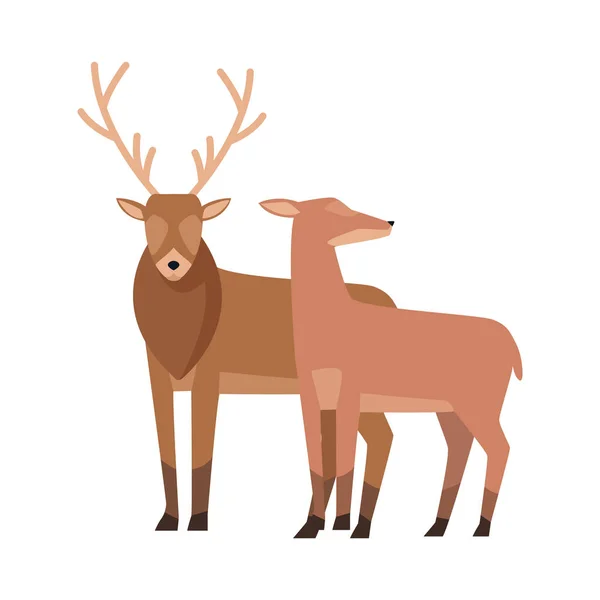 Horned deer icon, colorful design — 스톡 벡터