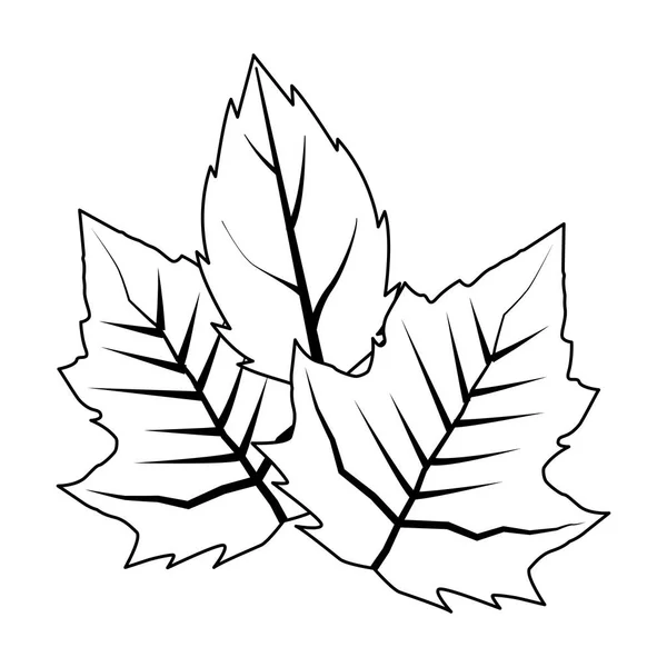 Planta de hoja de otoño icono estacional — Vector de stock