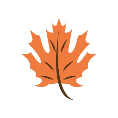 Şükran Günü yaprağı bitkisi sonbahar simgesi