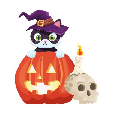 Cadılar bayramı balkabağı ve küçük kedi