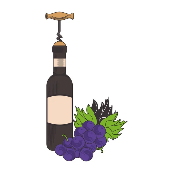Diseño de racimo de uvas y botella de vino diseño — Vector de stock