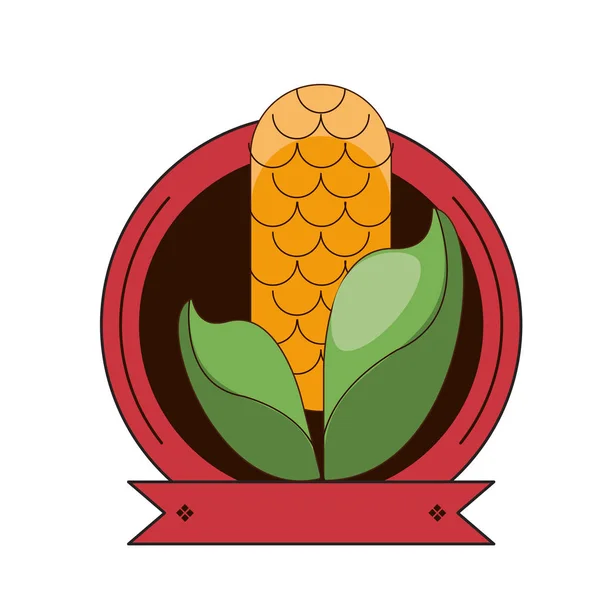 Cartão feliz dia de ação de graças com espiga de milho —  Vetores de Stock