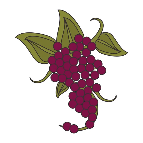 Bouquet de raisin icône design plat — Image vectorielle