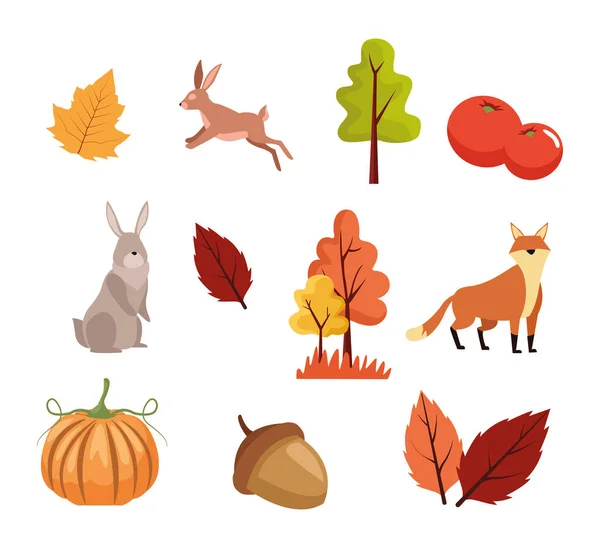 Bundel van de herfst seizoen pictogrammen — Stockvector