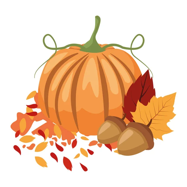 Herfst pompoen en noten vruchten seizoensgebonden pictogrammen — Stockvector