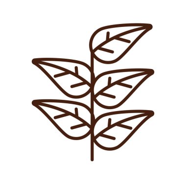 Şükran Günü yaprakları sonbahar ikonu