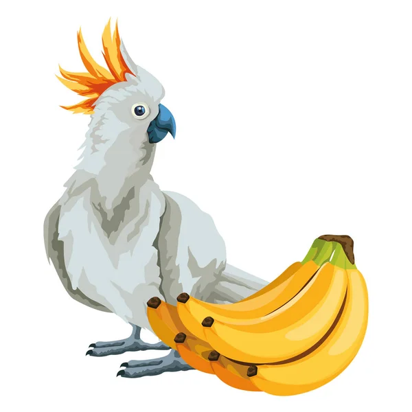 Perroquet sauvage cacatoès icône dessin animé — Image vectorielle
