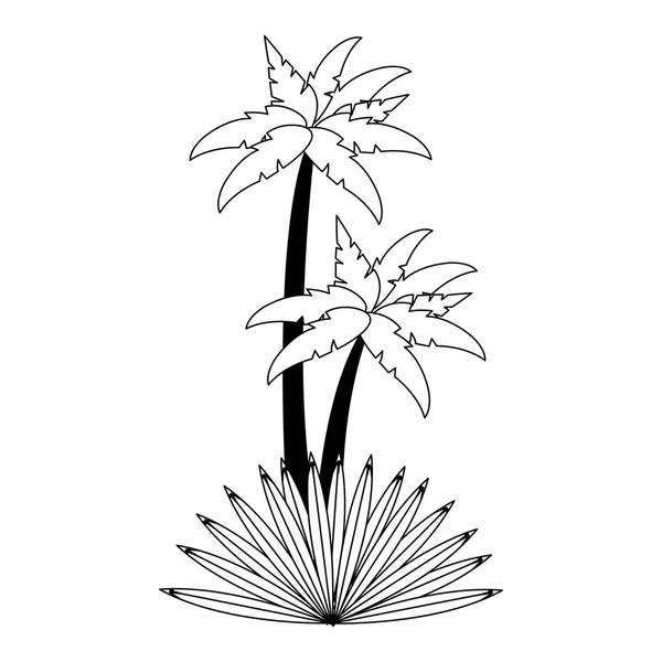 Beach palms trees with leaves cartoon in black and white — 스톡 벡터
