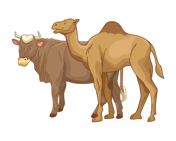 Cow and camel animals cartoon isolated — 스톡 벡터