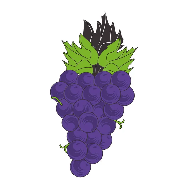 Płaska konstrukcja ikony grona winogron — Wektor stockowy