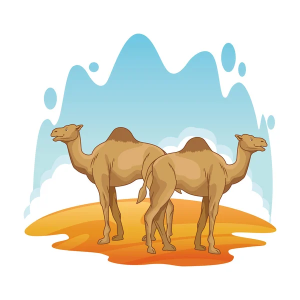 Dwa wielbłądy w pustynnej scenerii kreskówki — Wektor stockowy