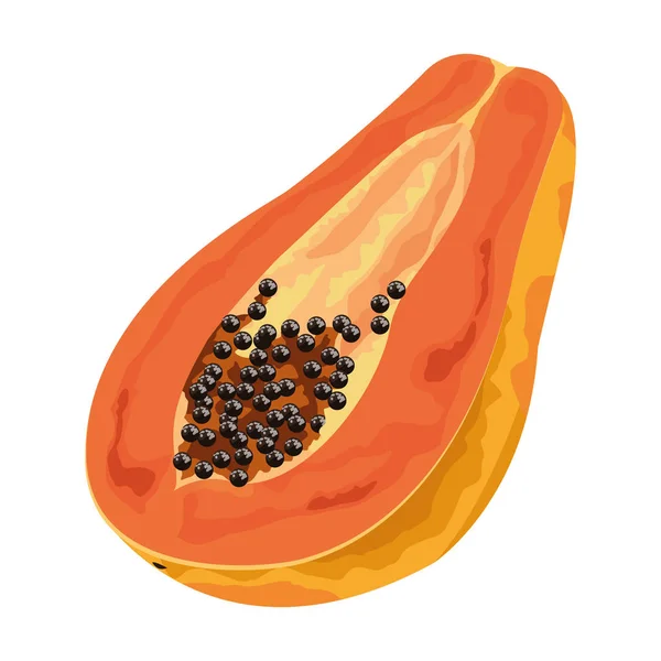 Exotique fruits tropicaux icône dessin animé — Image vectorielle
