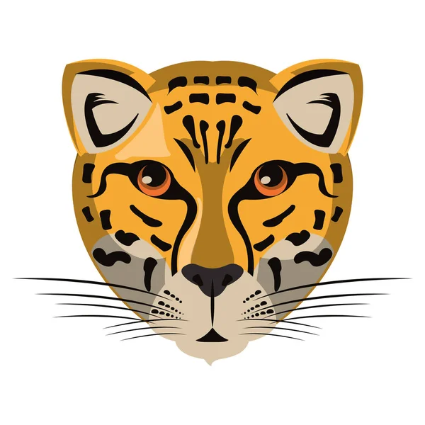 Leopárd vadon élő állatok fej rajzfilm elszigetelt — Stock Vector