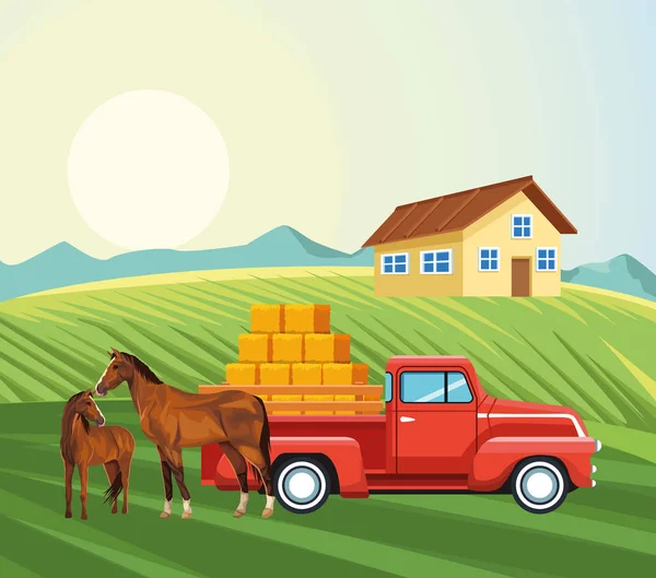 Farming house horses pickup truck with bales of hay meadow — Stock Vector