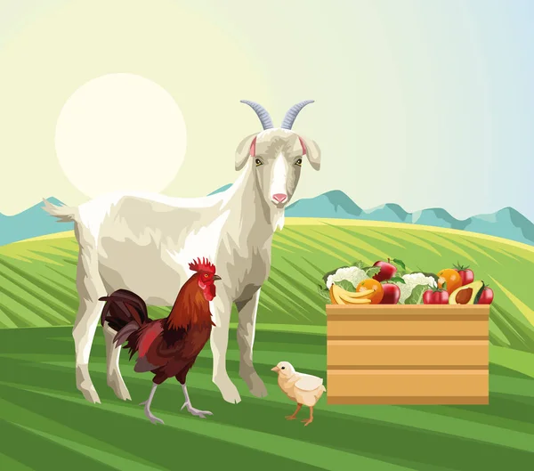 Chov koz kohout kohout koš s ovocem a zeleninou — Stockový vektor