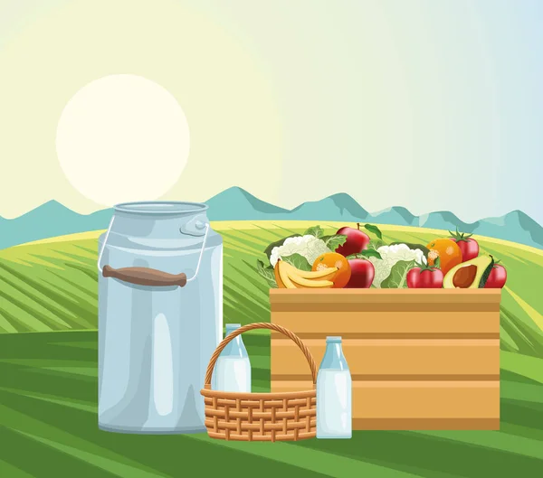 Odling behållare mjölkflaska korg och box fyllda frukter och grönsaker — Stock vektor