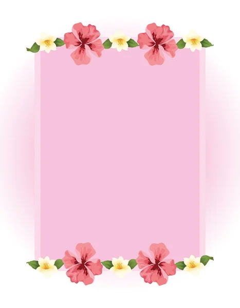Zomer tijd roze banner tropisch exotische bloemen grens — Stockvector