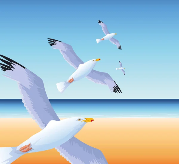 Summer time in beach vacations flying seagulls over sea — Stock Vector