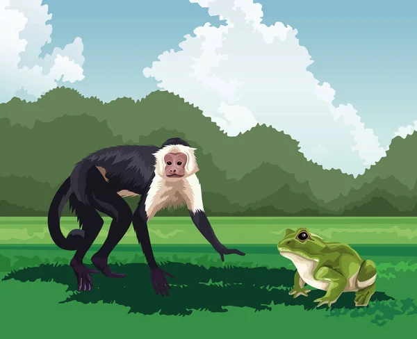 Monkey and frog tropical fauna and flora landscape — 스톡 벡터