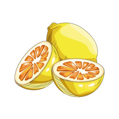 Yarısı simgeli limonlar, düz tasarım