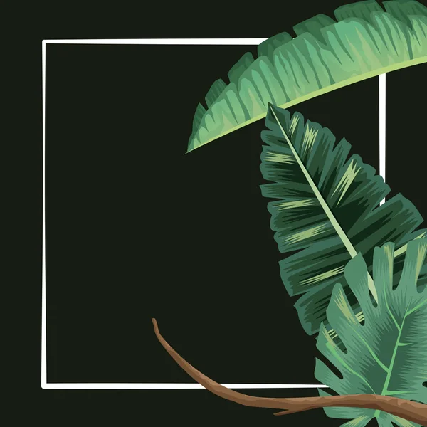 Folha tropical folhas monstera ramo banner —  Vetores de Stock