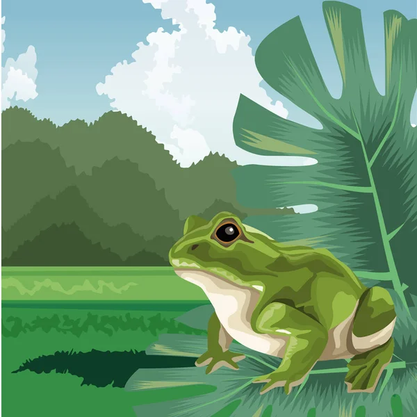 Frog on leaves tropical fauna and flora landscape — 스톡 벡터