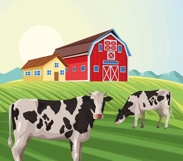 Fazenda casa celeiro comer vaca no campo —  Vetores de Stock