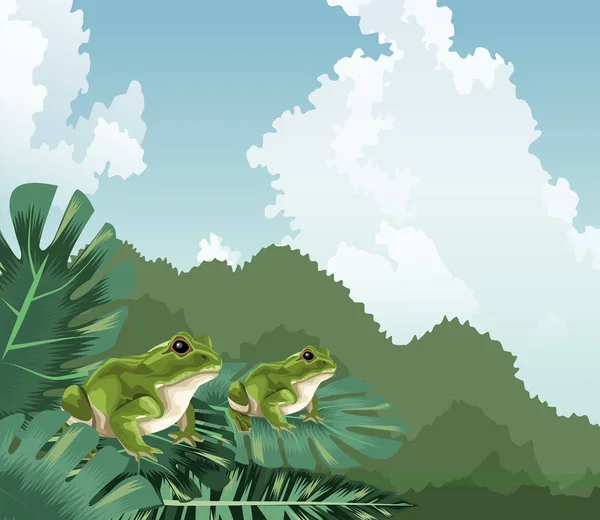 Ranas en monstera deja fauna tropical y flora paisaje — Vector de stock