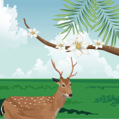Çiçekli geyik dalı tropikal fauna ve bitki örtüsü