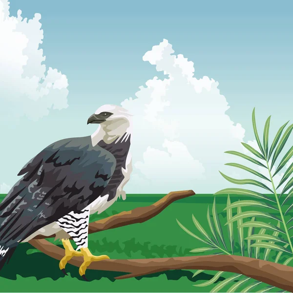 Eagle on branch sky meadow tropical fauna and flora landscape — 스톡 벡터