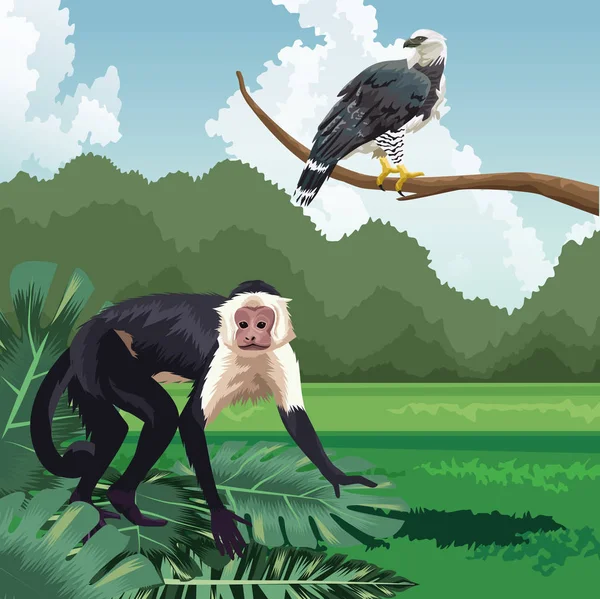 Мавпа і орел на гілці тропічна фауна і пейзаж флори — стоковий вектор