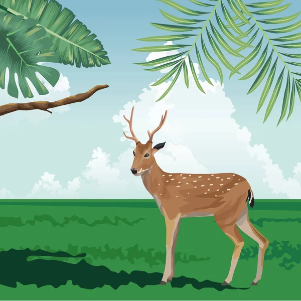 Liści jelenia tropikalny krajobraz fauny i flory — Wektor stockowy
