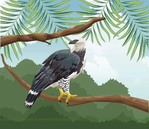 Eagle on branch tropical fauna and flora landscape — 스톡 벡터