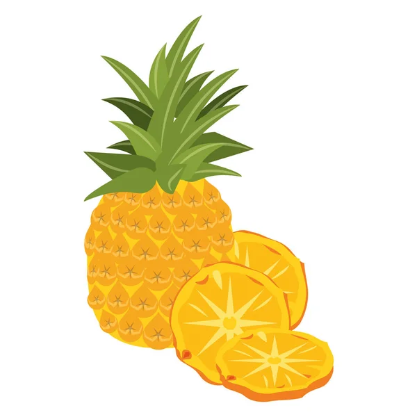 Tropiska frukter design — Stock vektor