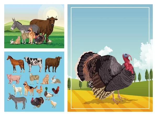 Group of animals farm in the camp — Stock Vector