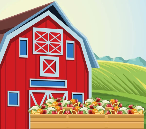 Farming barn and box with harvest fruits and vegetables — Stock Vector