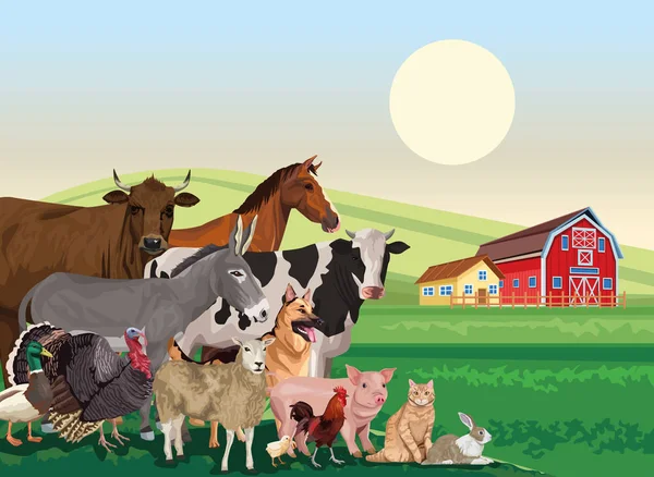 กลุ่มของฟาร์มสัตว์ในฉากภูมิทัศน์ — ภาพเวกเตอร์สต็อก