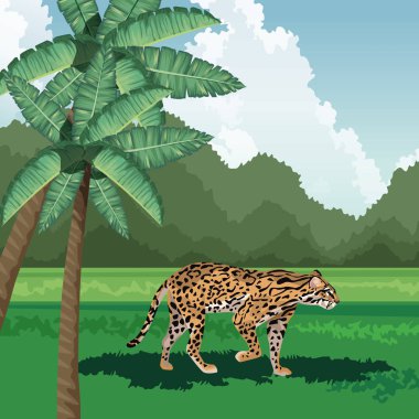 leopard walking grass palms tree tropical fauna and flora landscape