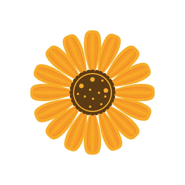 Piękny ogród słonecznikowy odizolowana ikona — Wektor stockowy